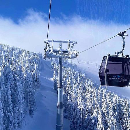 Apartments Gondola Foka - 600M From Gondola Ski Lift Kopaonik Zewnętrze zdjęcie