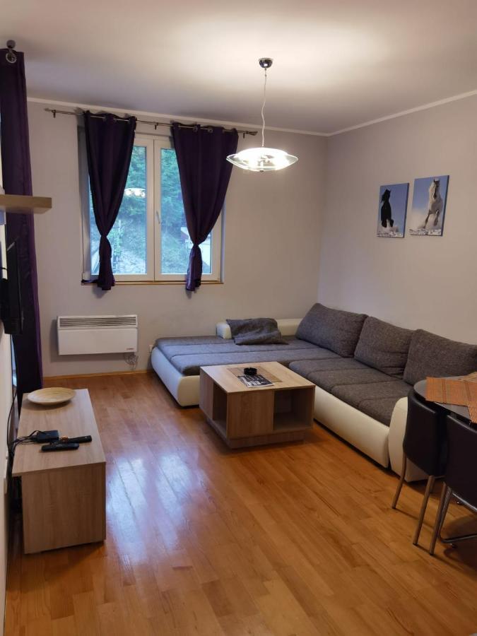 Apartments Foka & Spa - 600M From Gondola Ski Lift Kopaonik Zewnętrze zdjęcie