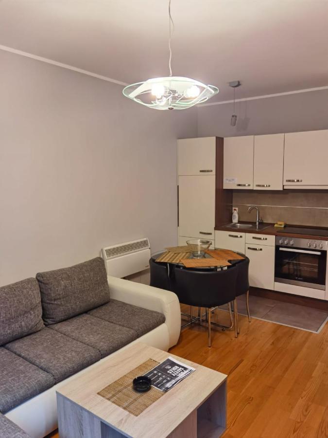 Apartments Foka & Spa - 600M From Gondola Ski Lift Kopaonik Zewnętrze zdjęcie