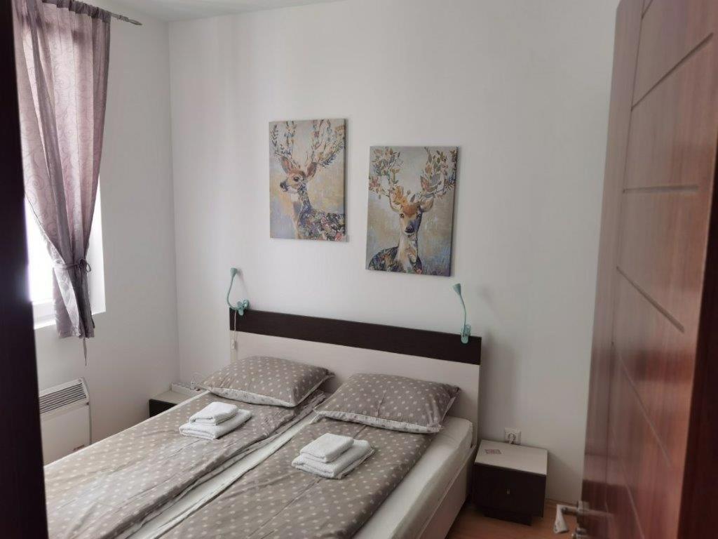 Apartments Foka & Spa - 600M From Gondola Ski Lift Kopaonik Zewnętrze zdjęcie