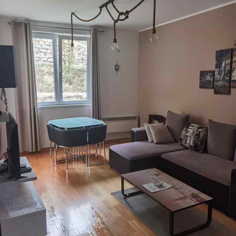 Apartments Foka & Spa - 600M From Gondola Ski Lift Kopaonik Zewnętrze zdjęcie