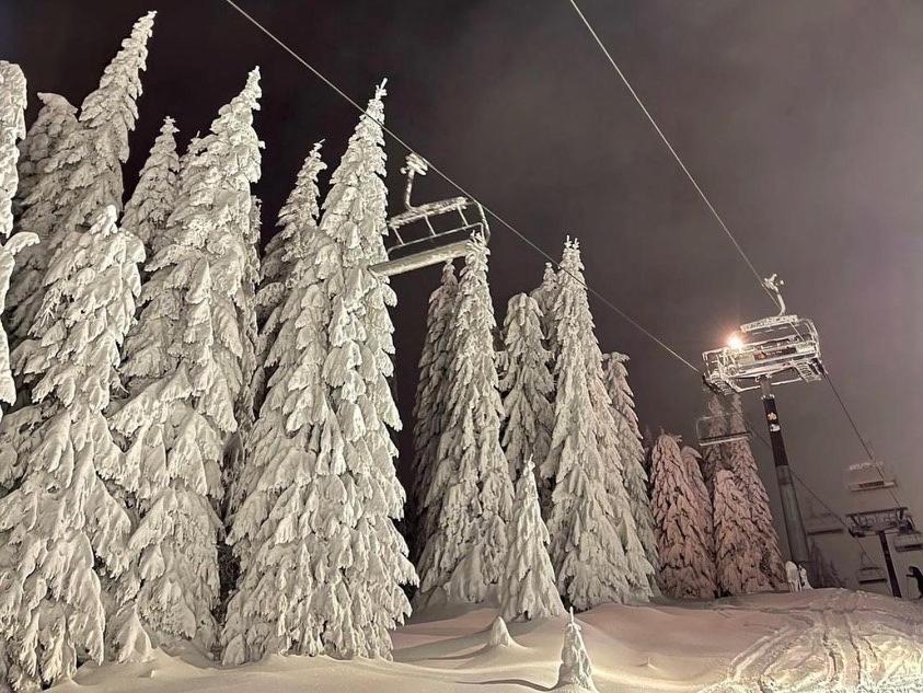 Apartments Foka & Spa - 600M From Gondola Ski Lift Kopaonik Zewnętrze zdjęcie
