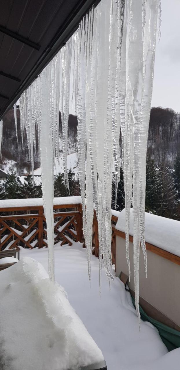 Apartments Gondola Foka - 600M From Gondola Ski Lift Kopaonik Zewnętrze zdjęcie